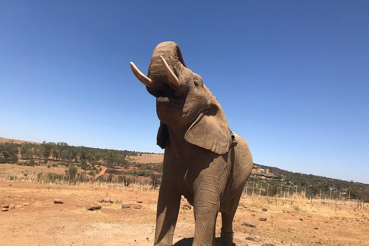 Pilanesberg camping Safari from Johannesburg - Photo 1 of 12